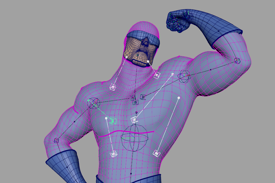 _images/fig07_muscle.png